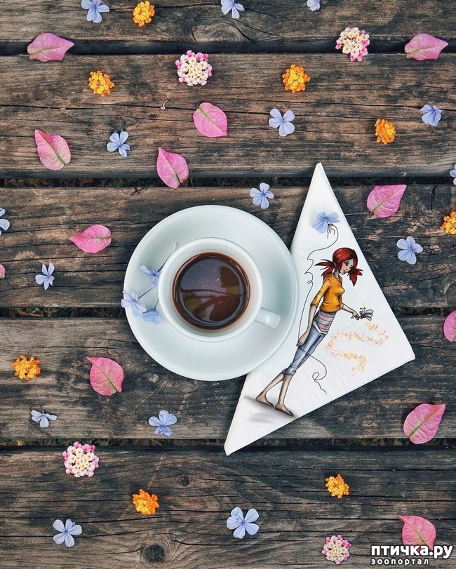 ���� 2: ���� ���������!