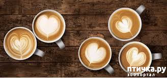 ���� 3: ���� ���������!