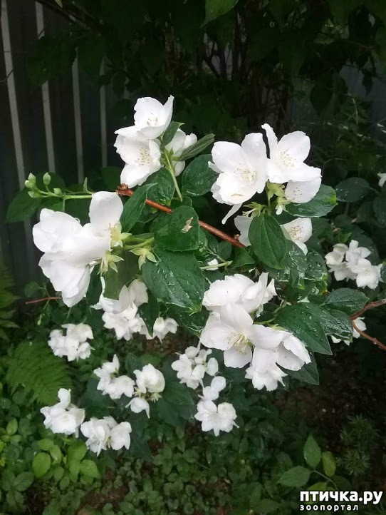 ���� 1: ��� ��� �����, ���� ����...