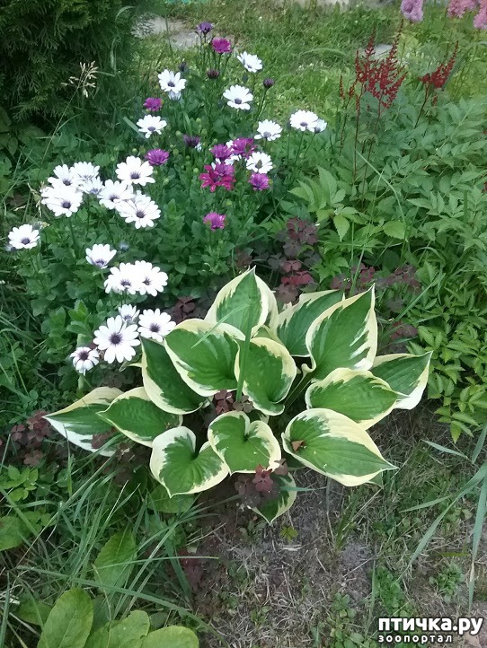 ���� 2: ��� ��� �����, ���� ����...