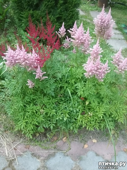 ���� 3: ��� ��� �����, ���� ����...