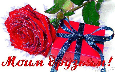 ���� 5: ���� ���������!