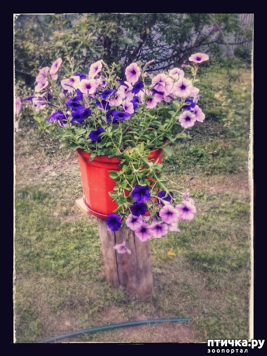 ���� 9: ��� ��� �����, ���� ����...