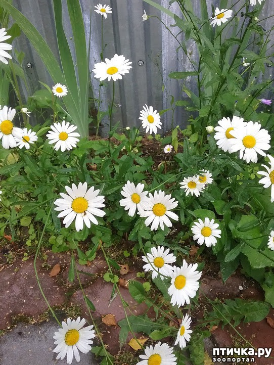 ���� 10: ��� ��� �����, ���� ����...