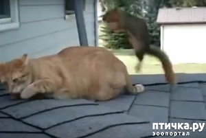 ����: ��� � ����� ����� ���� �����)))