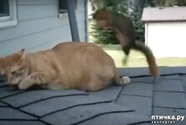 ���� 1: ��� � ����� ����� ���� �����)))