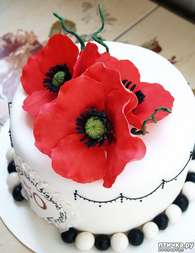 ���� 9: ���� ���������!