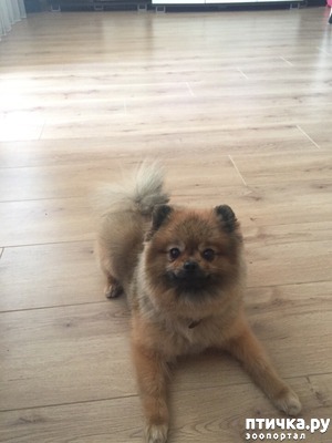 ����: ����������� ����� ������� ����� ����� ��������