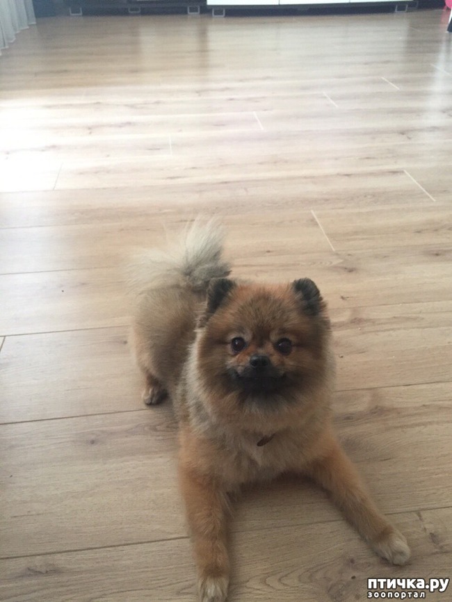 ���� 1: ����������� ����� ������� ����� ����� ��������