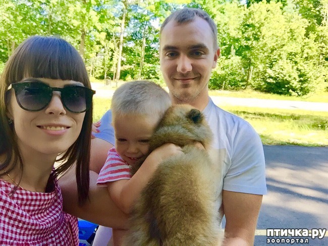 ���� 2: ����������� ����� ������� ����� ����� ��������