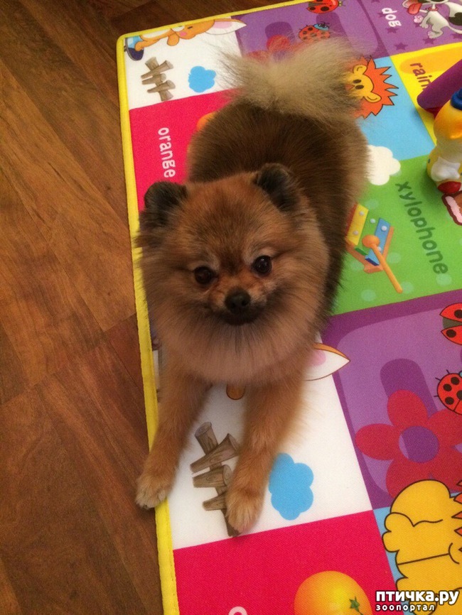 ���� 3: ����������� ����� ������� ����� ����� ��������