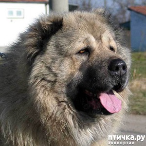 ����: ���������)))