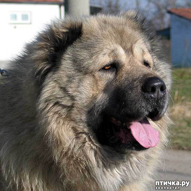 ���� 1: ���������)))