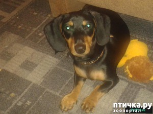 ����: ������� ������. ���������. �������!