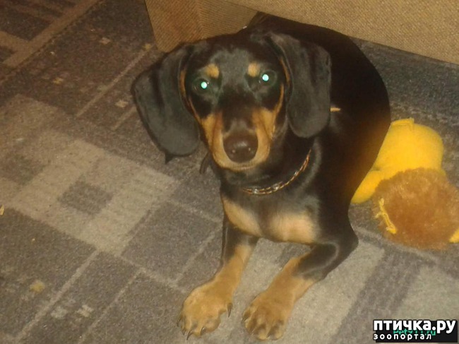 ���� 1: ������� ������. ���������. �������!