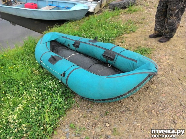 ���� 2: ���������)))