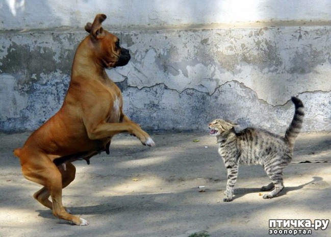 ���� 1: ��� � ��� - ��� ����? ����������� ����