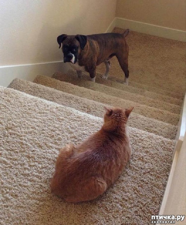 ���� 2: ��� � ��� - ��� ����? ����������� ����