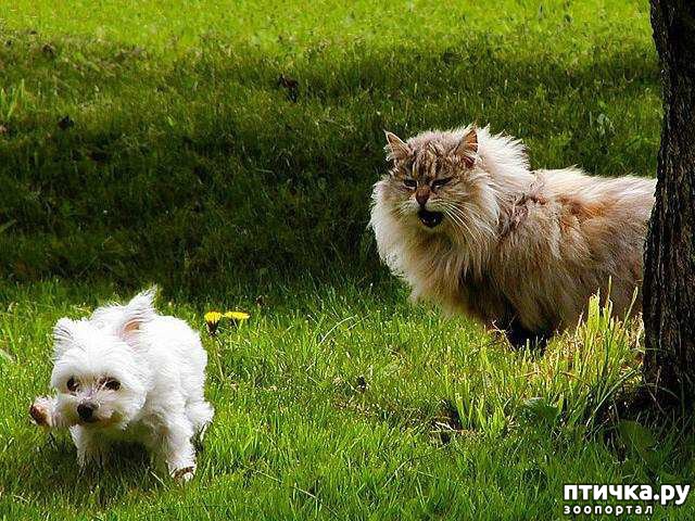 ���� 4: ��� � ��� - ��� ����? ����������� ����