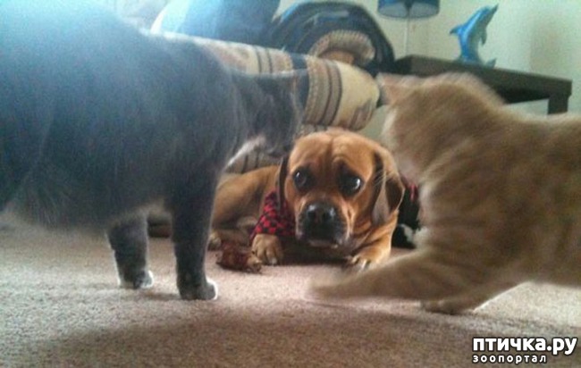 ���� 7: ��� � ��� - ��� ����? ����������� ����