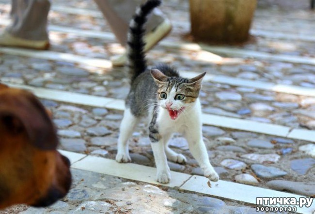 ���� 8: ��� � ��� - ��� ����? ����������� ����