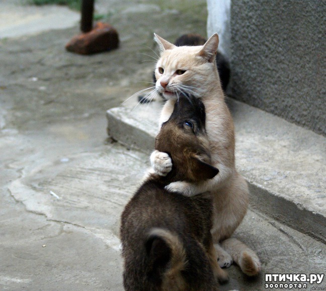 ���� 10: ��� � ��� - ��� ����? ����������� ����