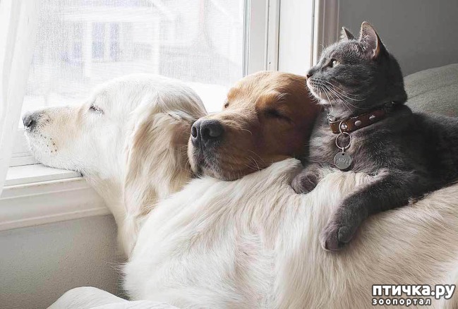 ���� 11: ��� � ��� - ��� ����? ����������� ����