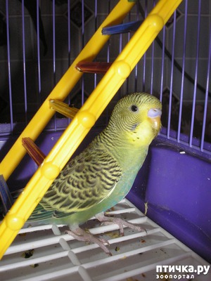 ����: � ���� ����