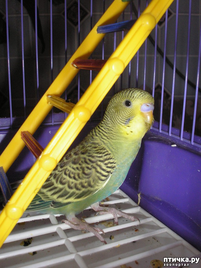 ���� 1: � ���� ����