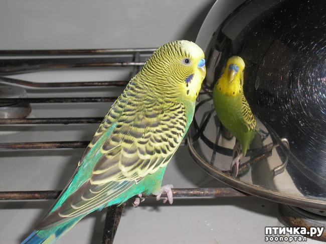 ���� 2: � ���� ����