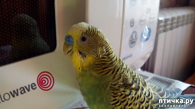 ���� 4: � ���� ����