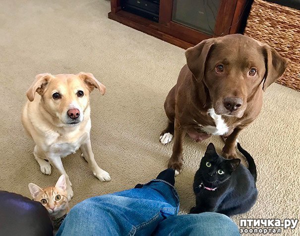 ���� 2: ������ - ����������)))