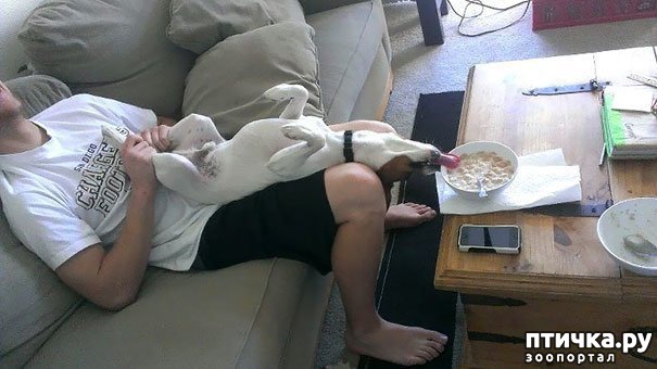 ���� 3: ������ - ����������)))