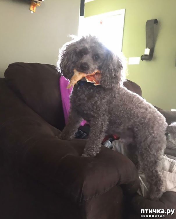 ���� 4: ������ - ����������)))