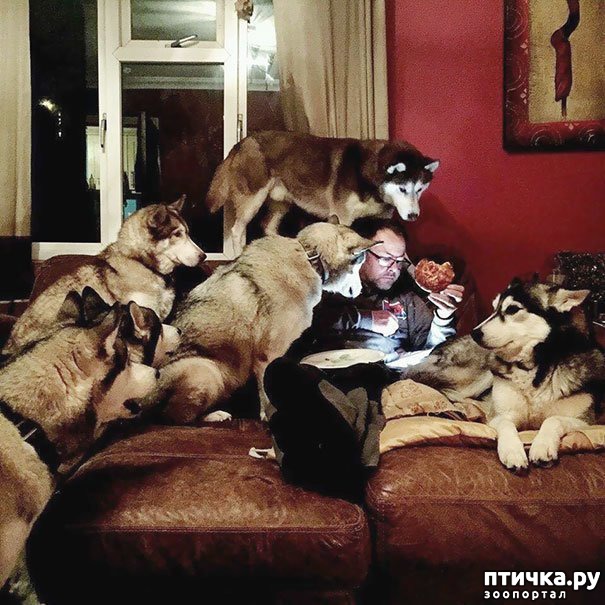 ���� 6: ������ - ����������)))