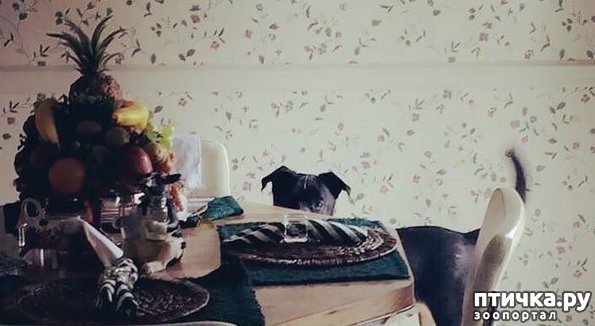 ���� 10: ������ - ����������)))