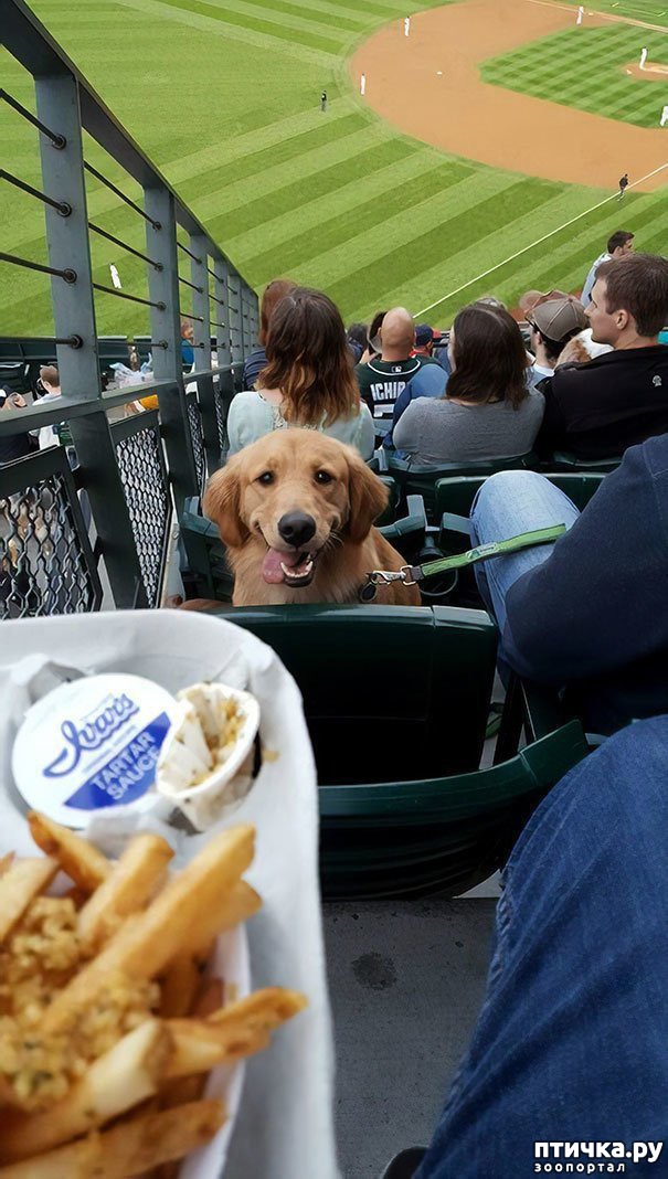 ���� 12: ������ - ����������)))