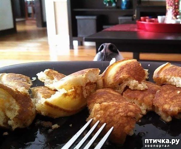 ���� 13: ������ - ����������)))