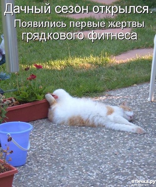 ���� 2: �����������: ��� � ������-3.