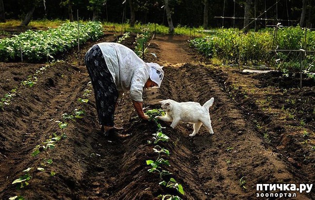 ���� 4: �����������: ��� � ������-3.