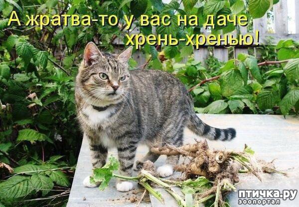 ���� 5: �����������: ��� � ������-3.