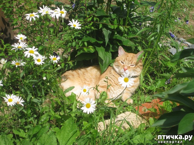 ���� 7: �����������: ��� � ������-3.