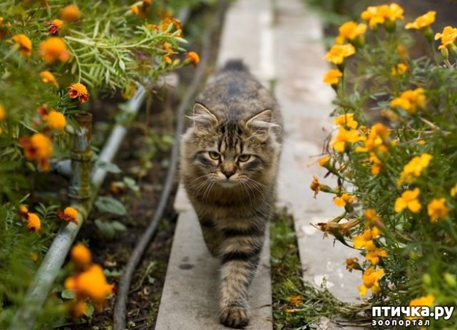 ���� 9: �����������: ��� � ������-3.