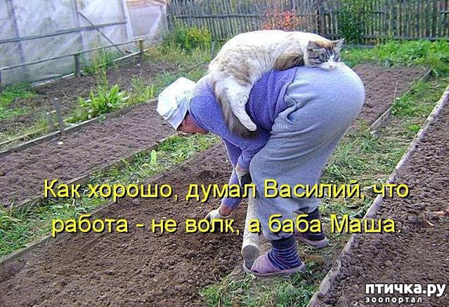 ���� 10: �����������: ��� � ������-3.