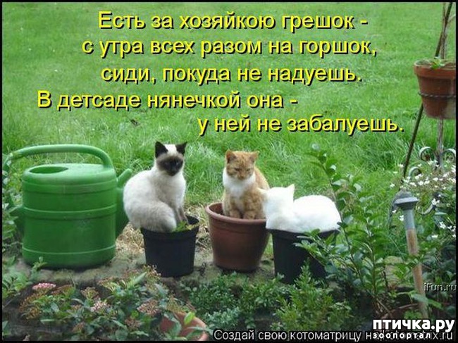 ���� 11: �����������: ��� � ������-3.