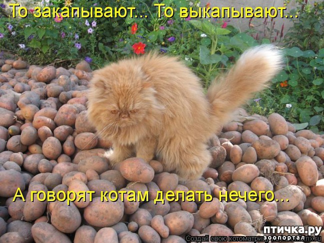 ���� 12: �����������: ��� � ������-3.