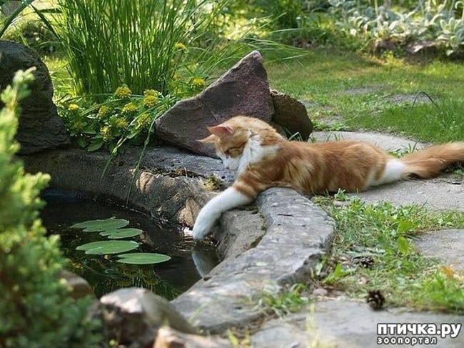 ���� 15: �����������: ��� � ������-3.