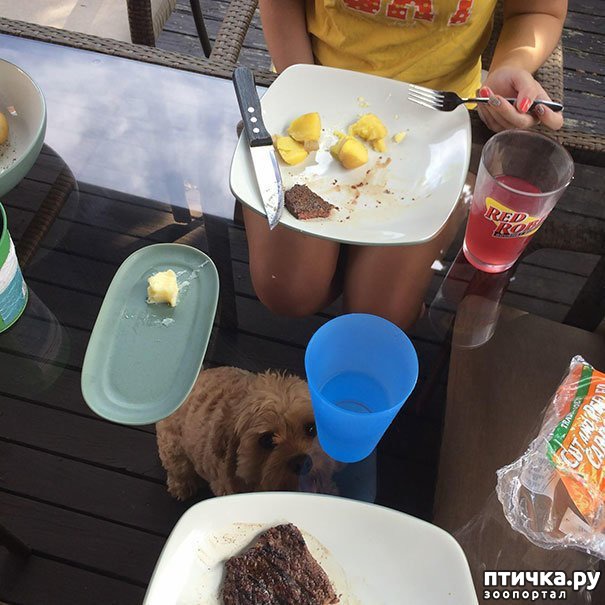 ���� 17: ������ - ����������)))