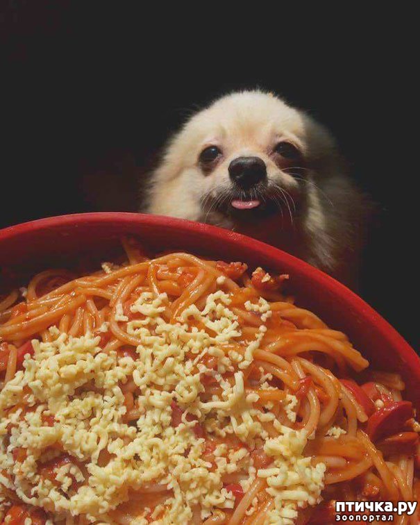 ���� 19: ������ - ����������)))