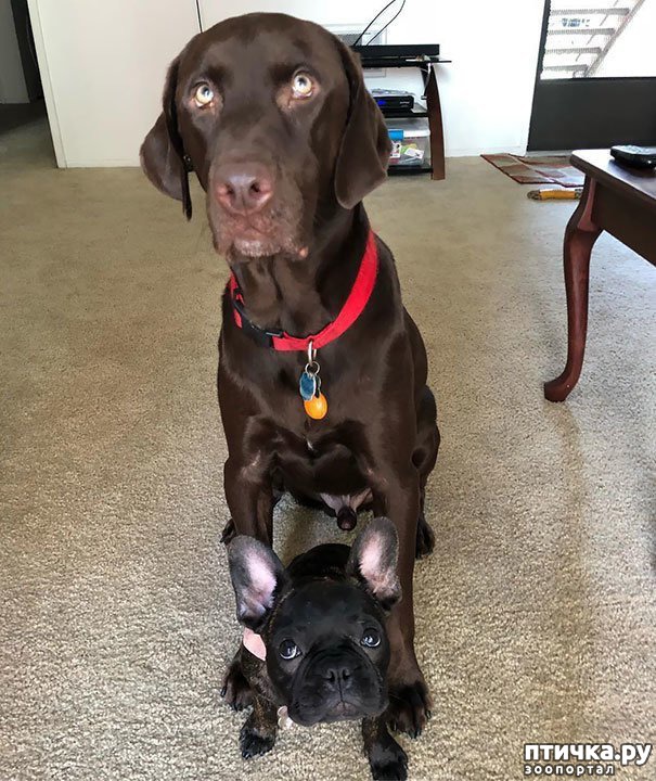 ���� 22: ������ - ����������)))